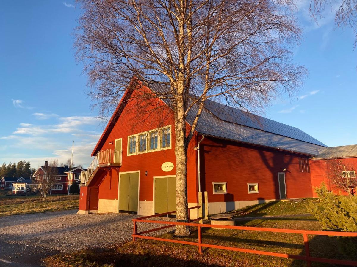 Newly Built Apartment Next Door To The Sheep Norrfjarden Kültér fotó